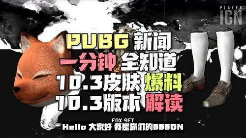 第五周年爆料新闻内容有哪些,揭秘重大爆料与精彩瞬间  第3张