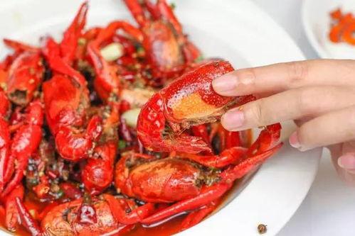娃娃爆料小龙虾视频大全,小龙虾视频大全，一场味蕾与视觉的盛宴