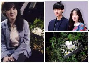 爱求婚男星最近爆料视频,视频爆料背后的浪漫故事