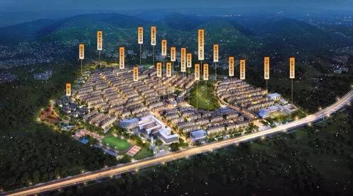 泰禾内部爆料事件视频,揭秘公司内部惊人真相